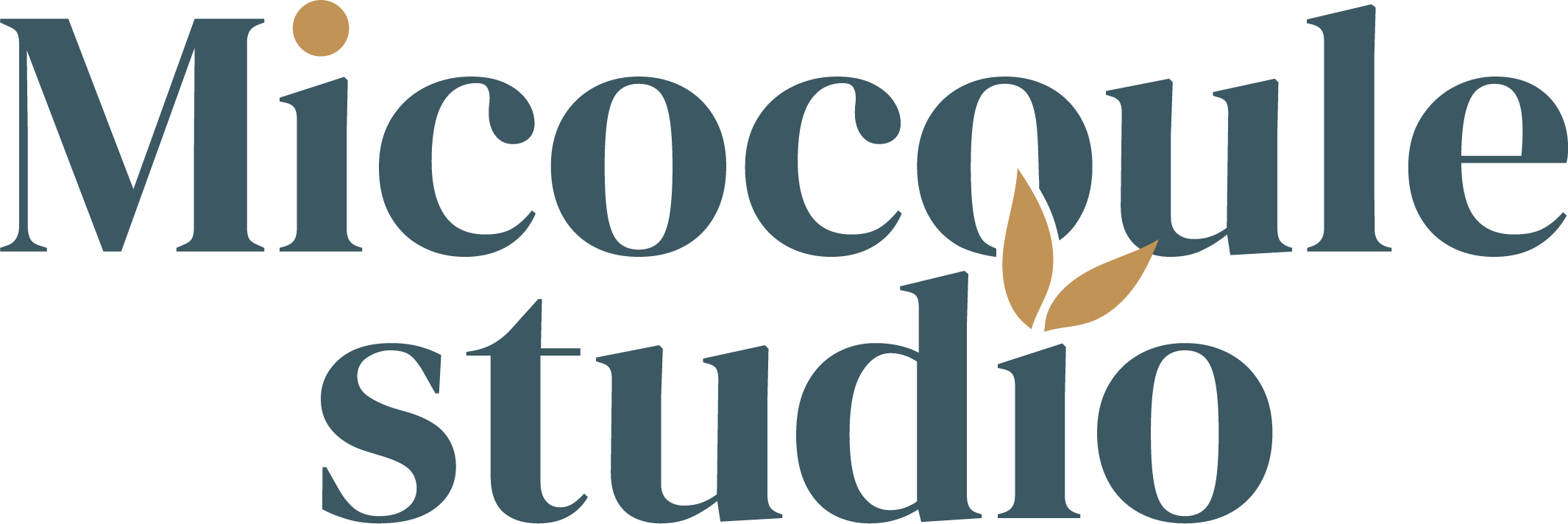 logo Micocoule studio studio création graphique producteur artisan créateur